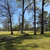 Review photo of Leroy Percy State Park Campground by christy W., March 28, 2026