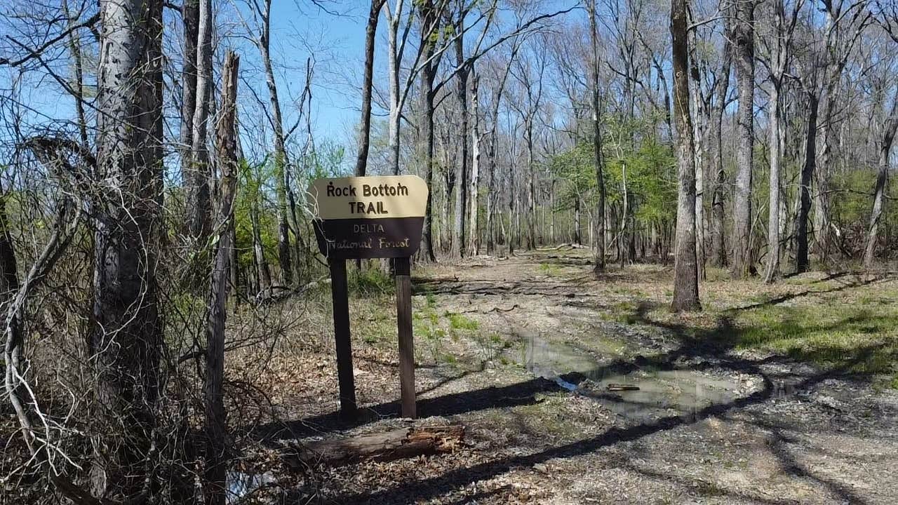 Camper-submitted photo at Little Sunflower River near Delta National Forest