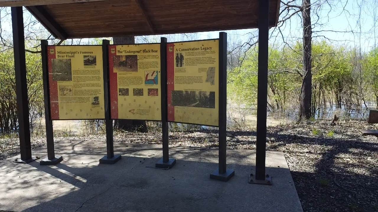 Camper-submitted photo at Little Sunflower River near Delta National Forest