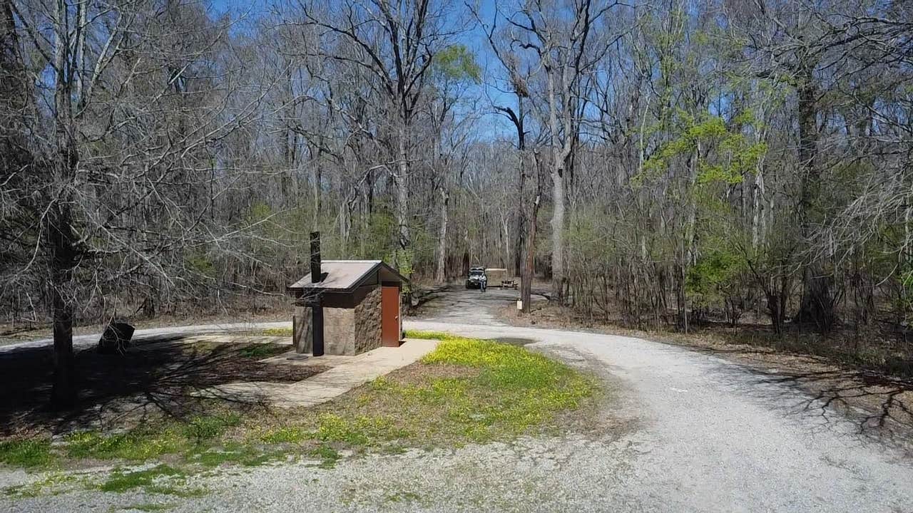 Camper-submitted photo at Little Sunflower River near Delta National Forest