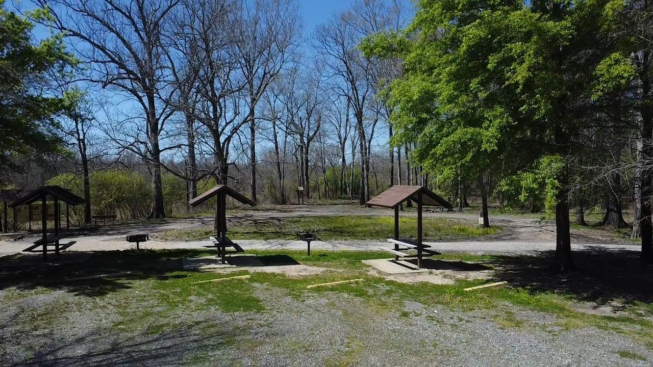Camper-submitted photo at Little Sunflower River near Delta National Forest