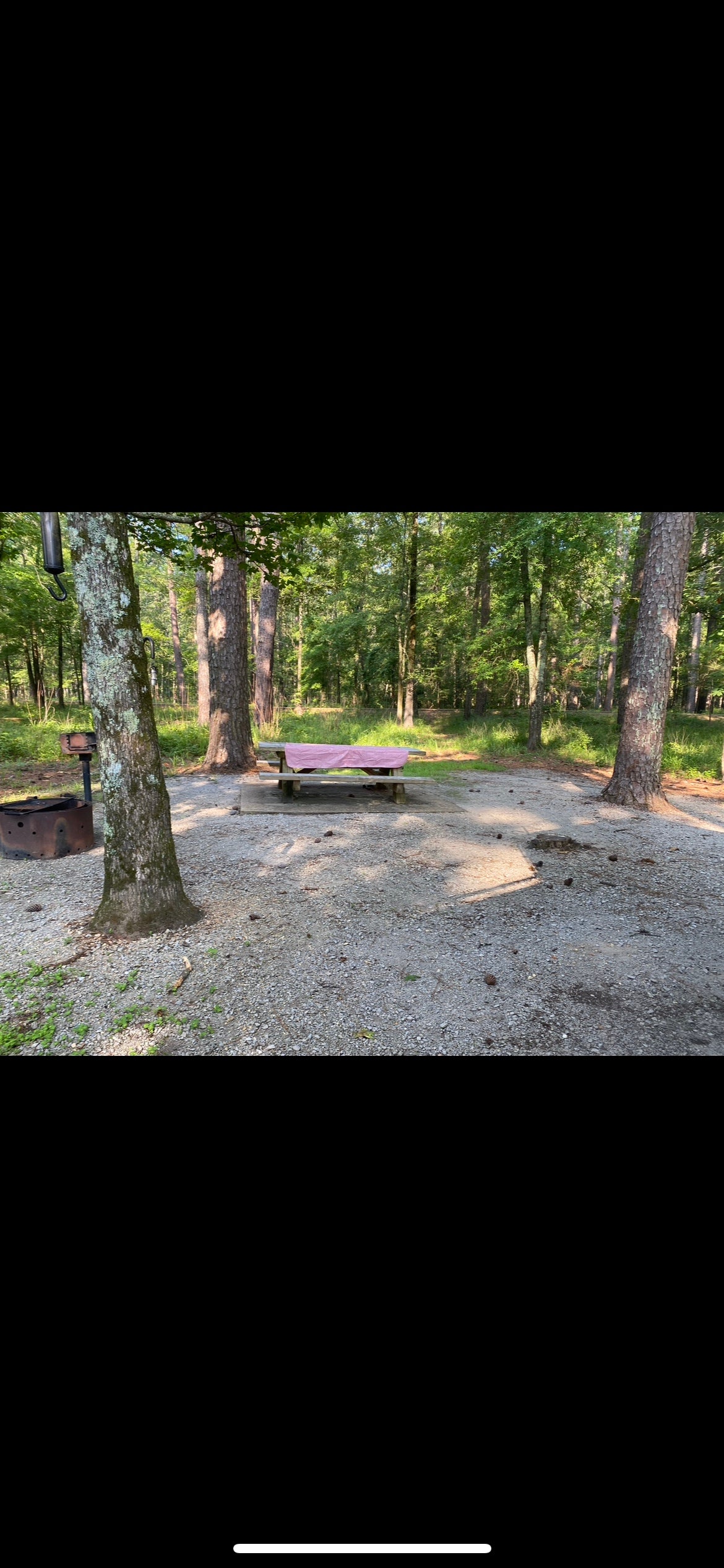 Camper submitted image from Marathon Lake Campground - 2