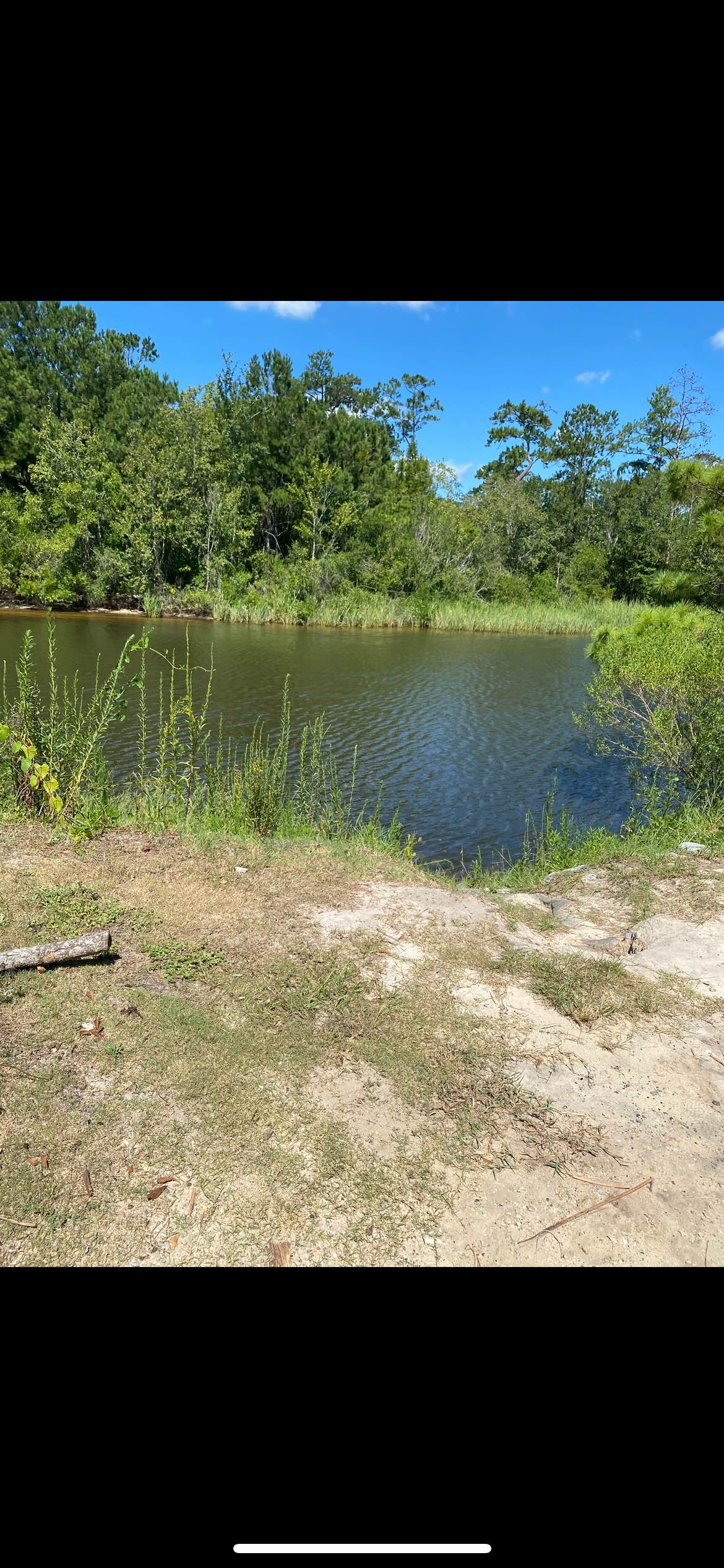 Camper-submitted photo at McLeod Park Campground near Pearl River, LA