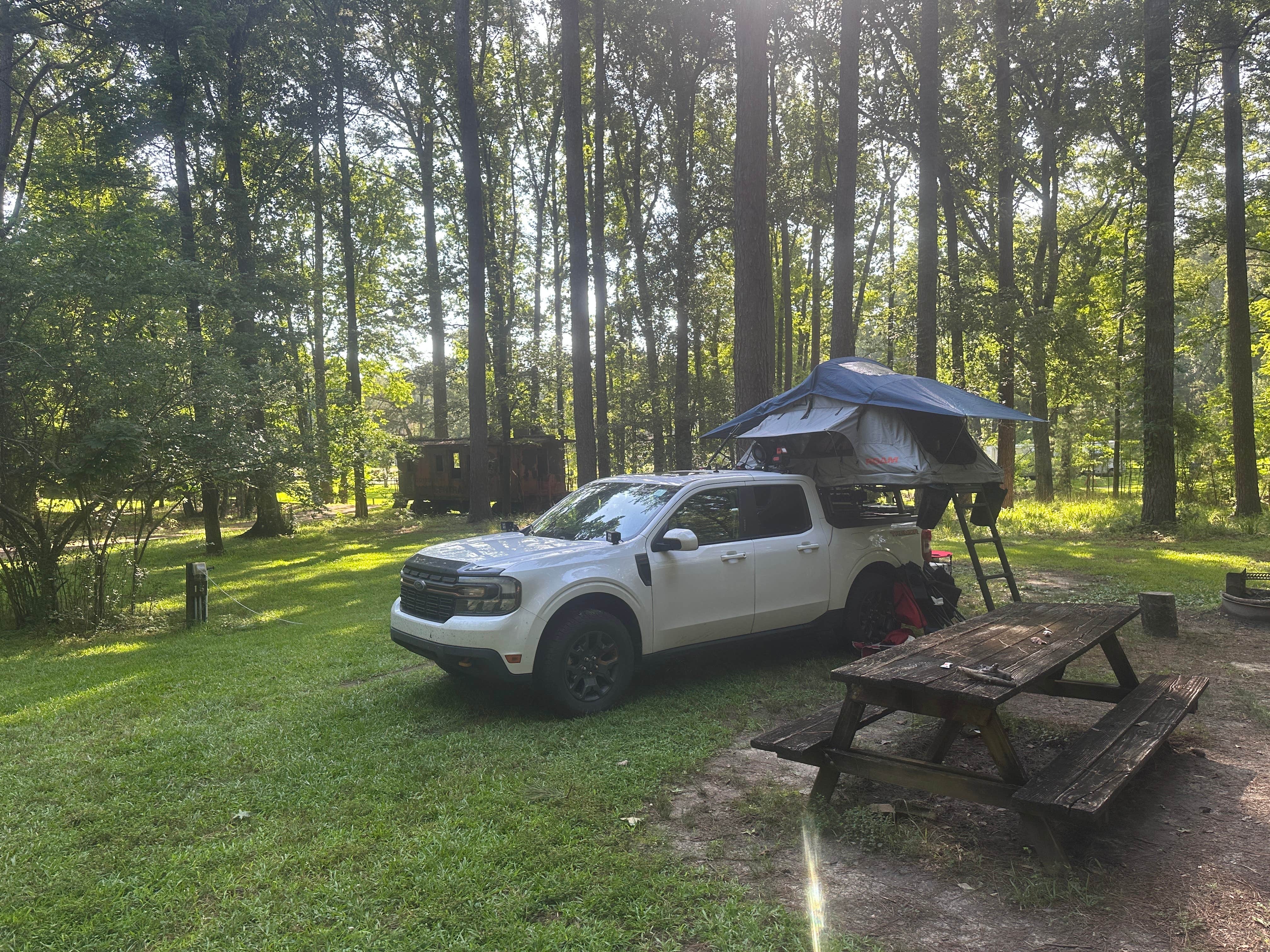Camper submitted image from Mississippi Petrified Forest - 1