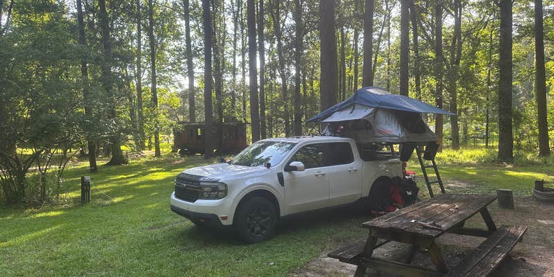 Camper submitted image from Mississippi Petrified Forest
