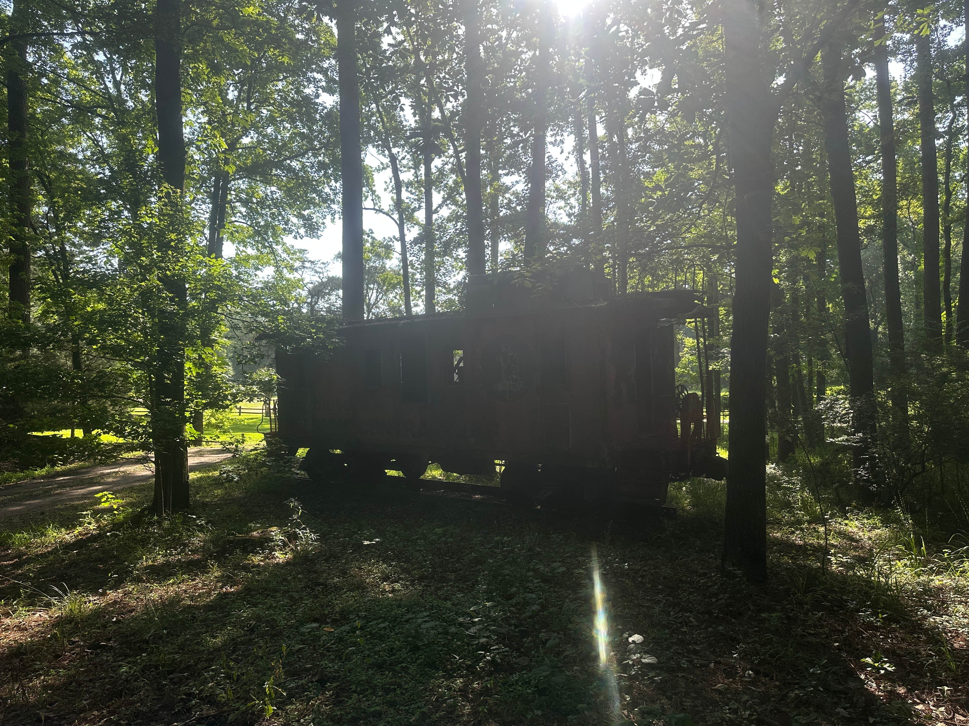 Camper-submitted photo at Mississippi Petrified Forest near Jackson, MS