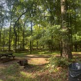 Review photo of Mississippi Petrified Forest by jason , June 21, 2025
