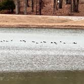 Review photo of North Abutment by John O., January 5, 2024