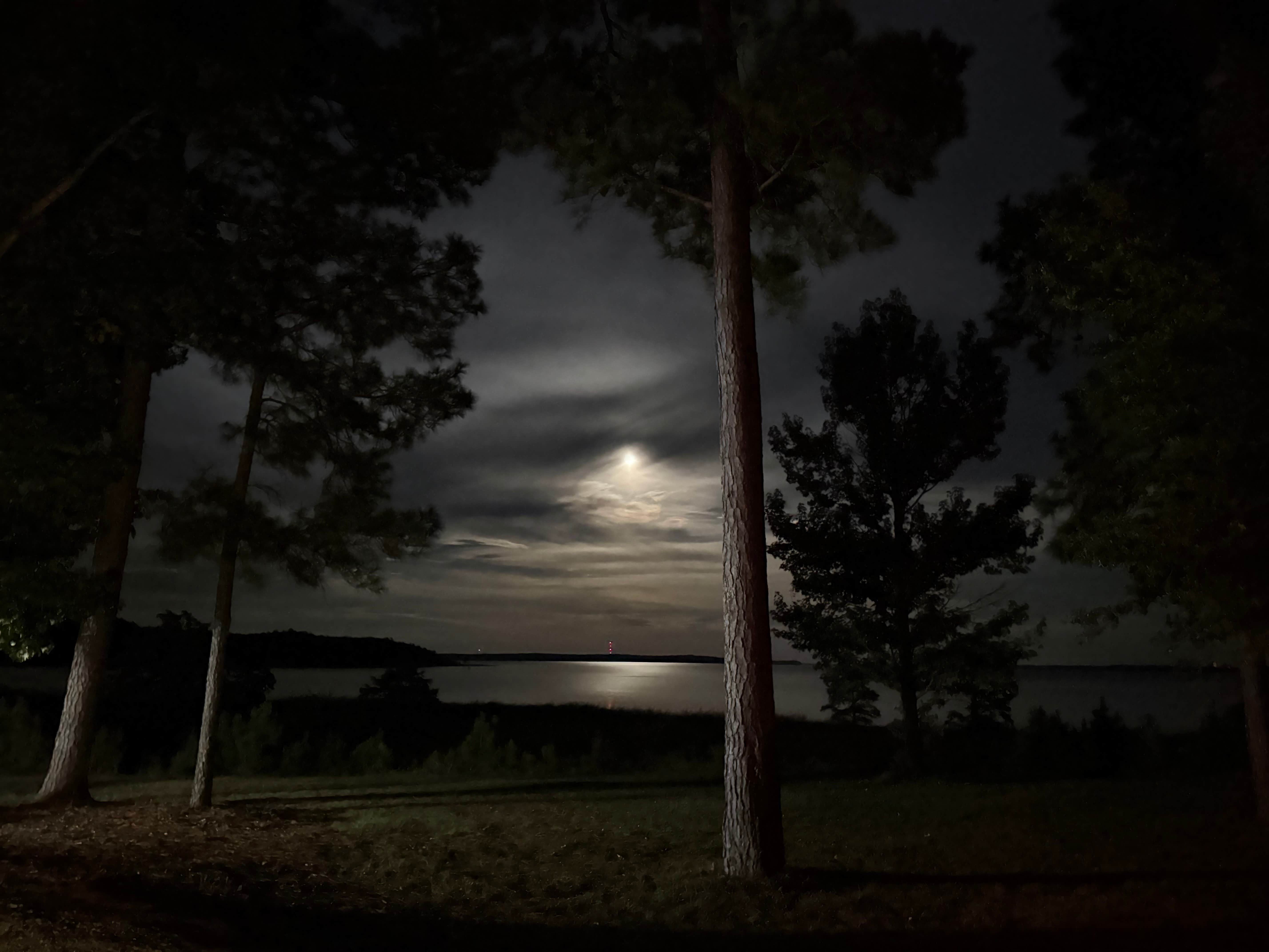Camper-submitted photo at North Abutment near Grenada, MS