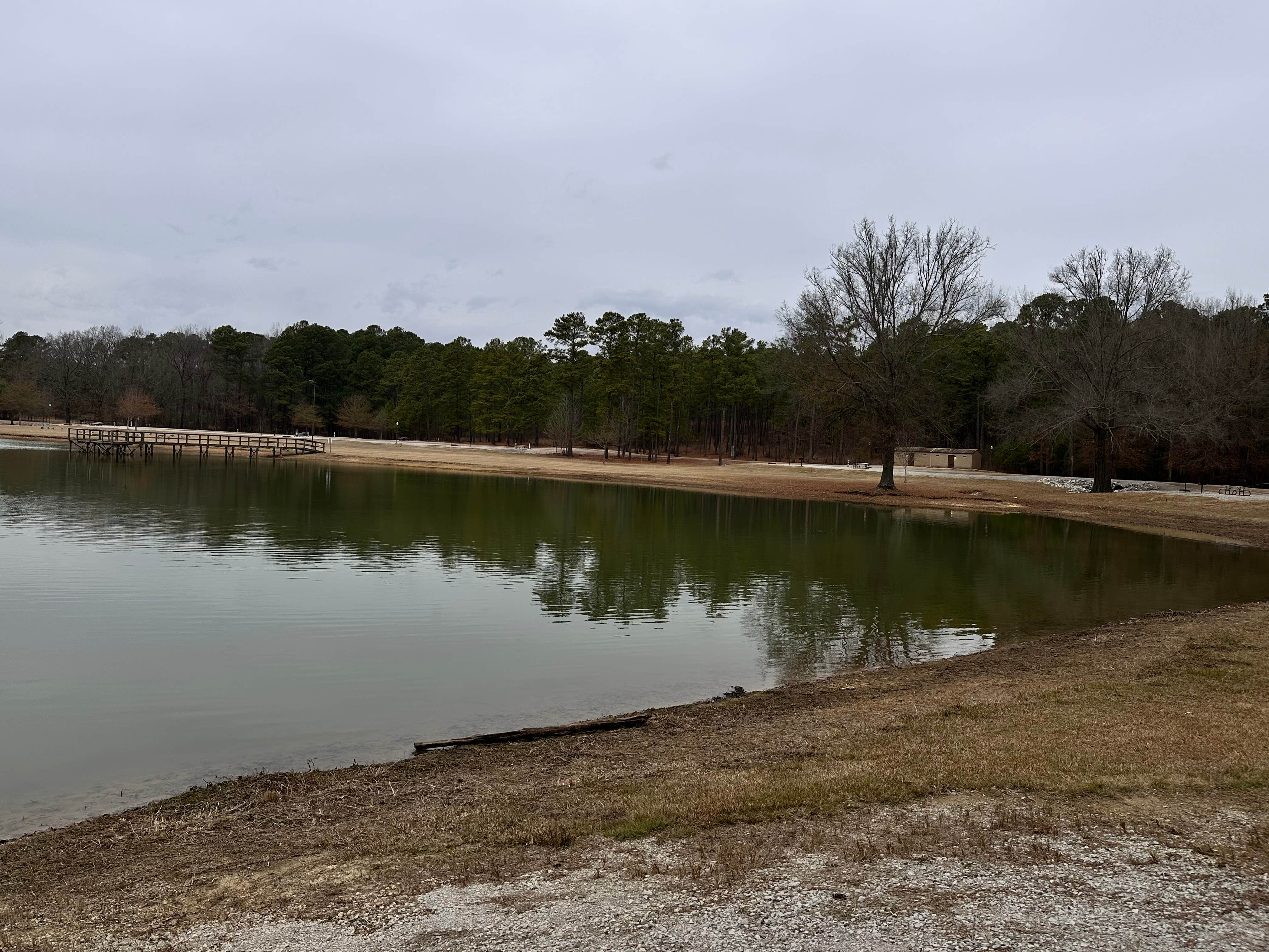 Camper-submitted photo at North Abutment near Sam Rayburn Reservoir