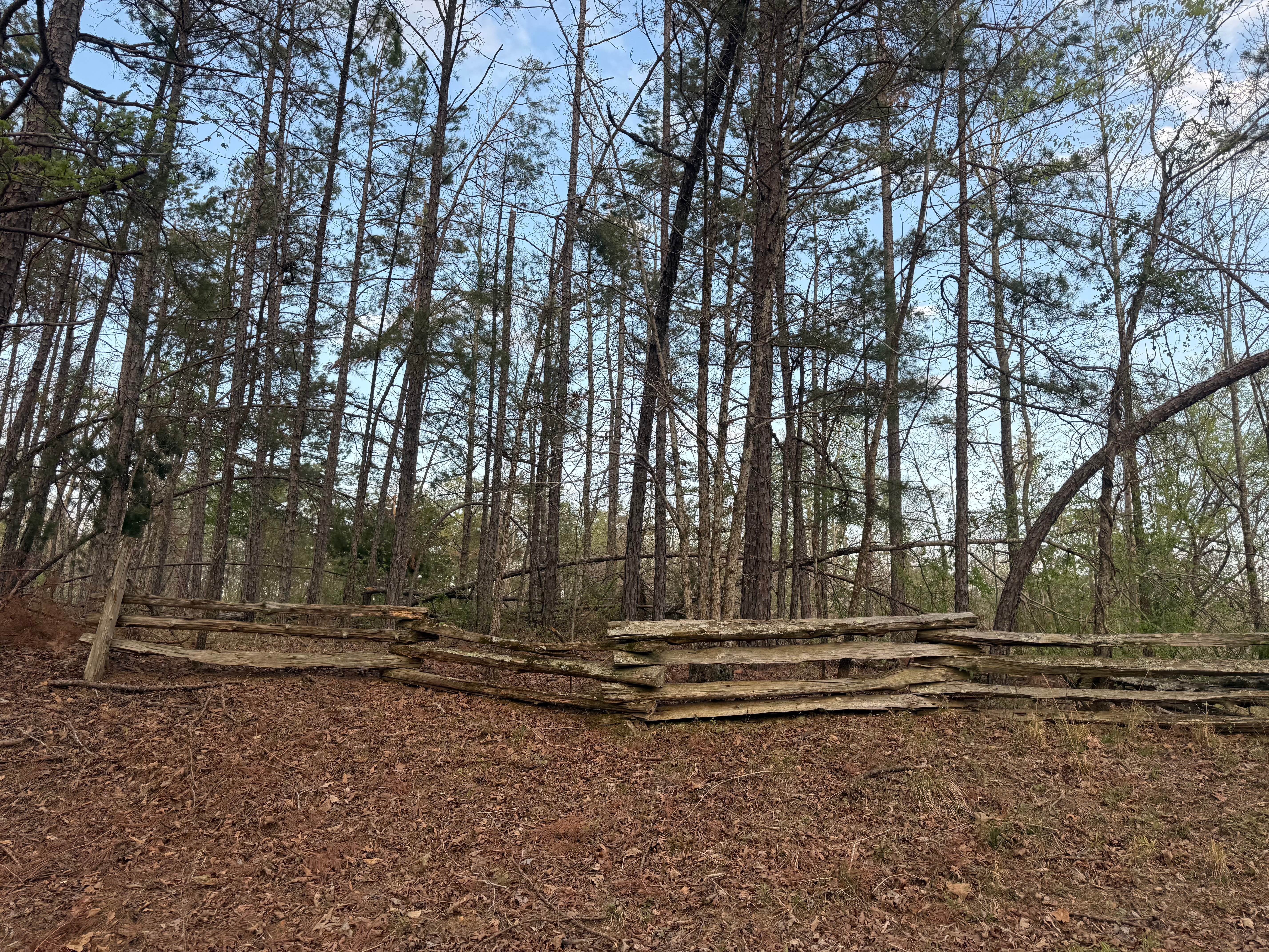 Camper-submitted photo at Puskus Lake near Saltillo, MS