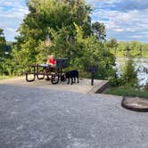 Review photo of Mississippi River State Park Campground by elizabeth L., September 6, 2025