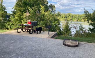 elizabeth L.'s photo of camping with pets at Mississippi River State Park Campground near Coldwater, MS