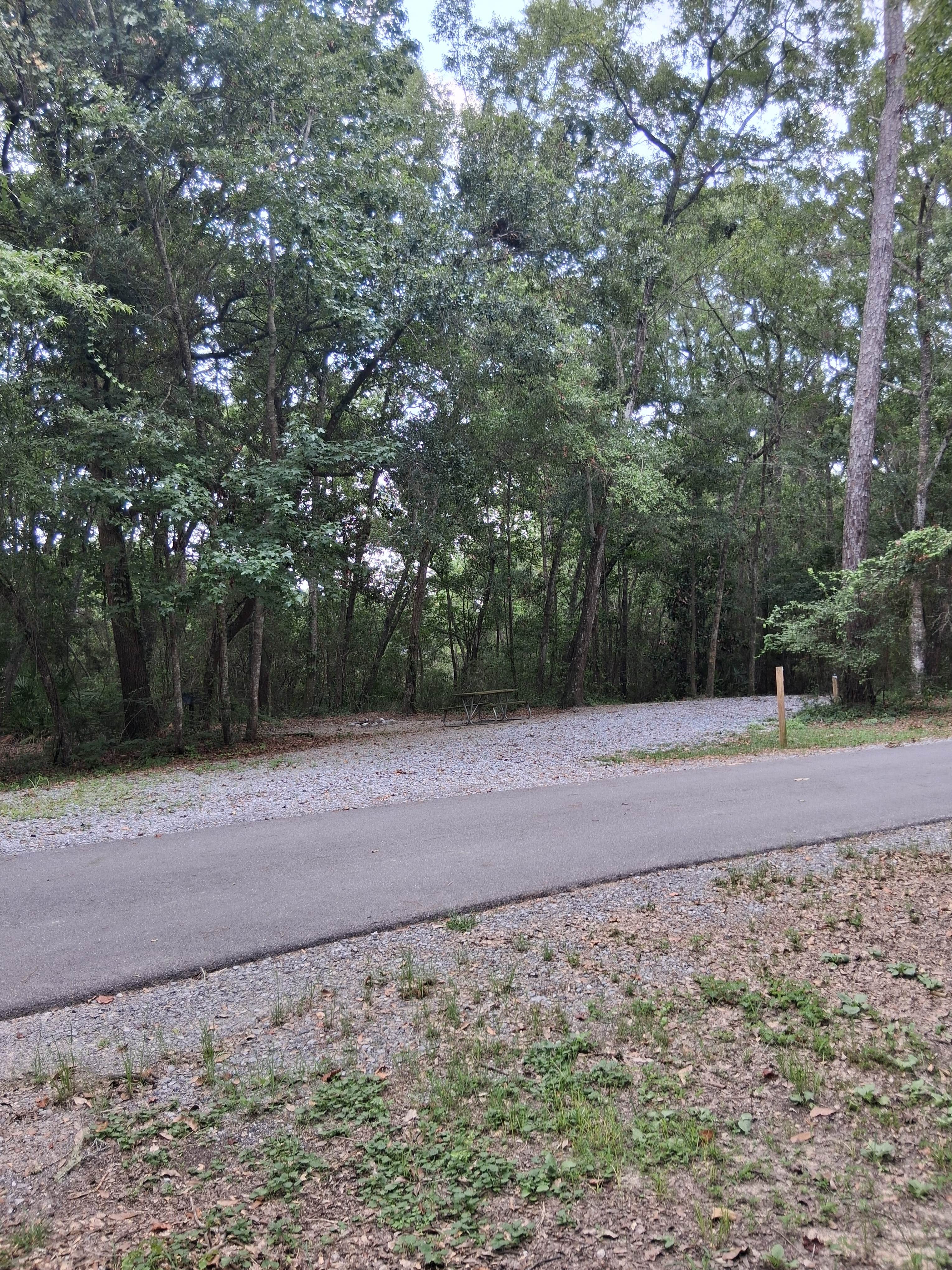 Camper-submitted photo at Shepard State Park Campground near Lucedale, MS