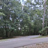 Review photo of Shepard State Park Campground by Stephen B., July 28, 2026