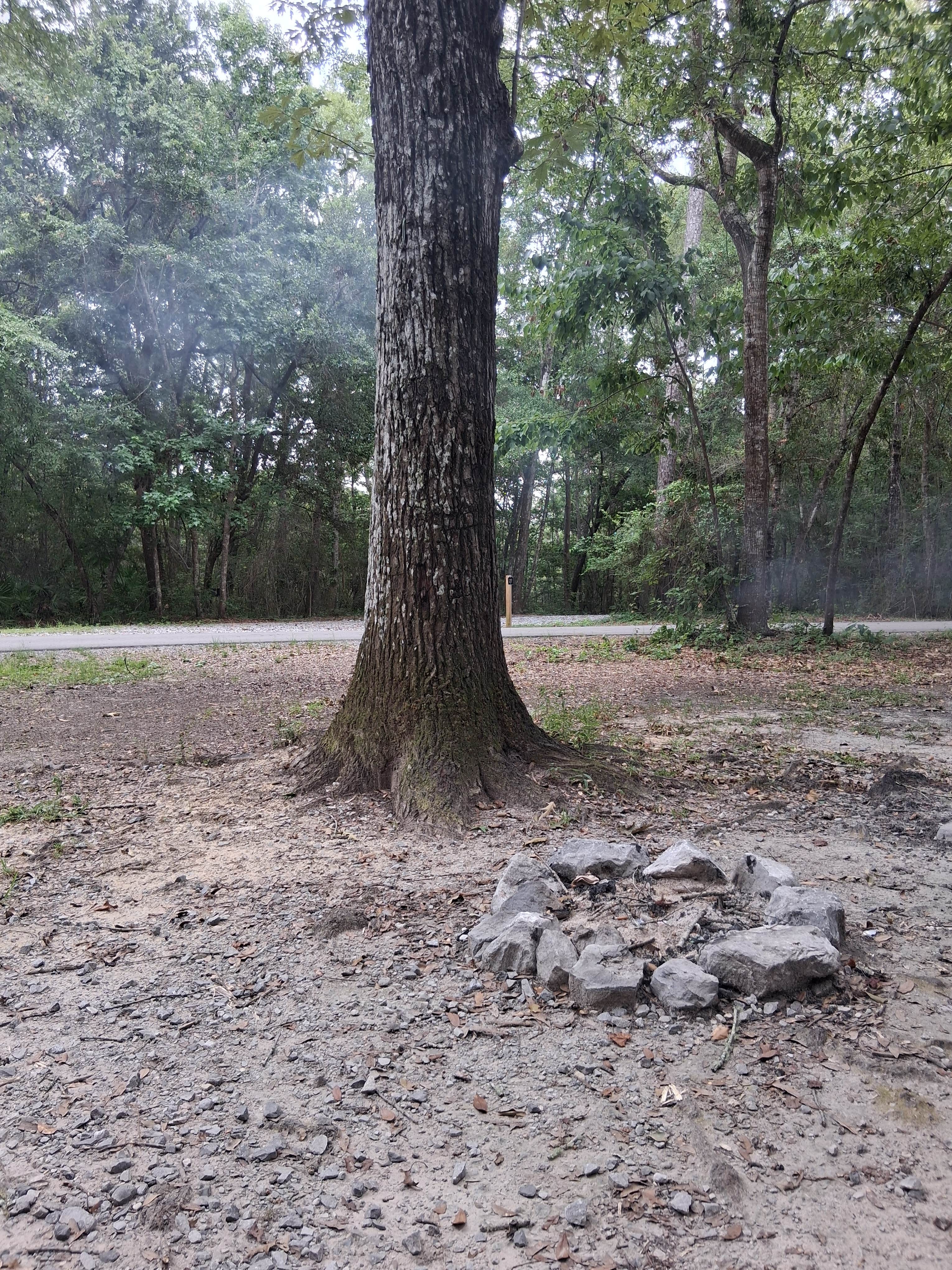 Camper-submitted photo at Shepard State Park Campground near Lucedale, MS