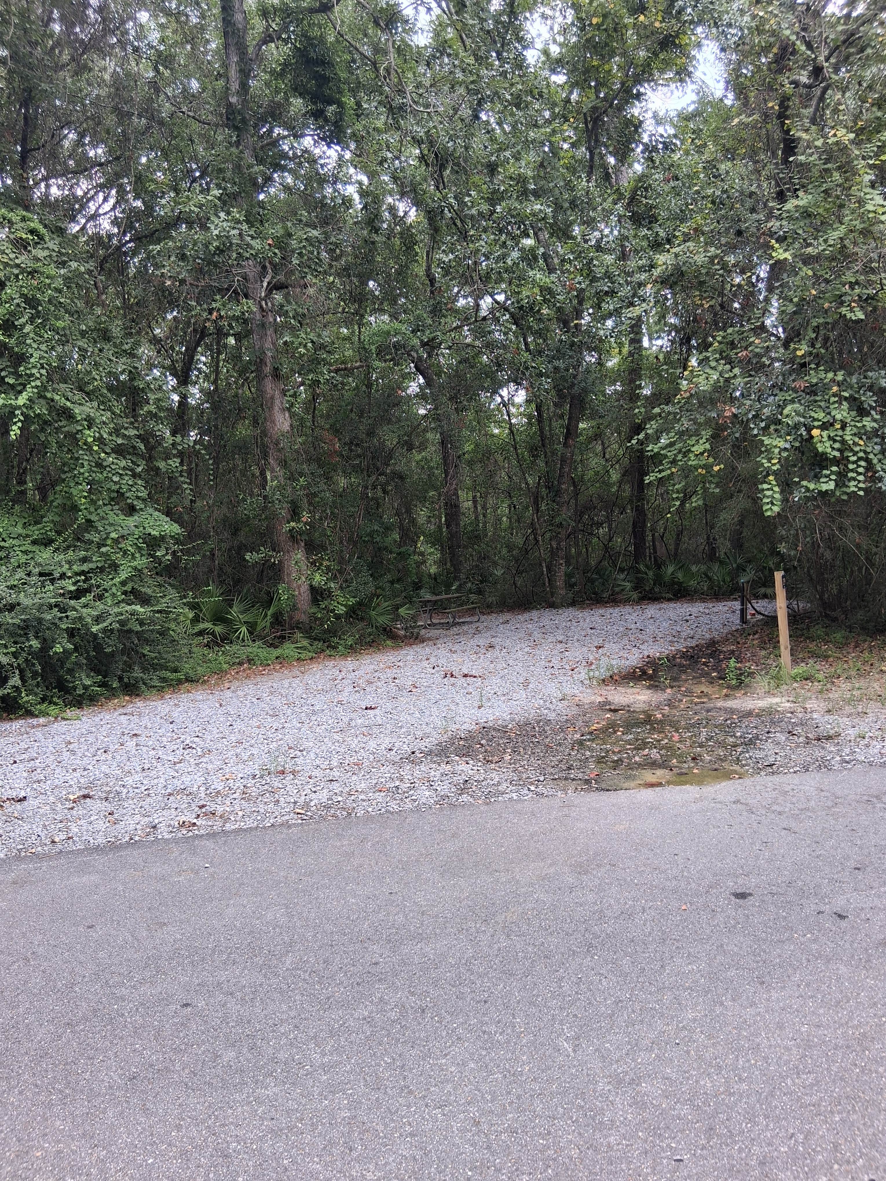 Camper-submitted photo at Shepard State Park Campground near Lucedale, MS