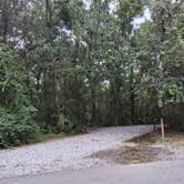 Review photo of Shepard State Park Campground by Stephen B., July 28, 2026