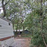 Review photo of Shepard State Park Campground by Stephen B., July 28, 2026