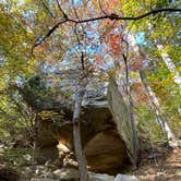 Review photo of Tishomingo State Park Campground by Amanda F., February 8, 2025