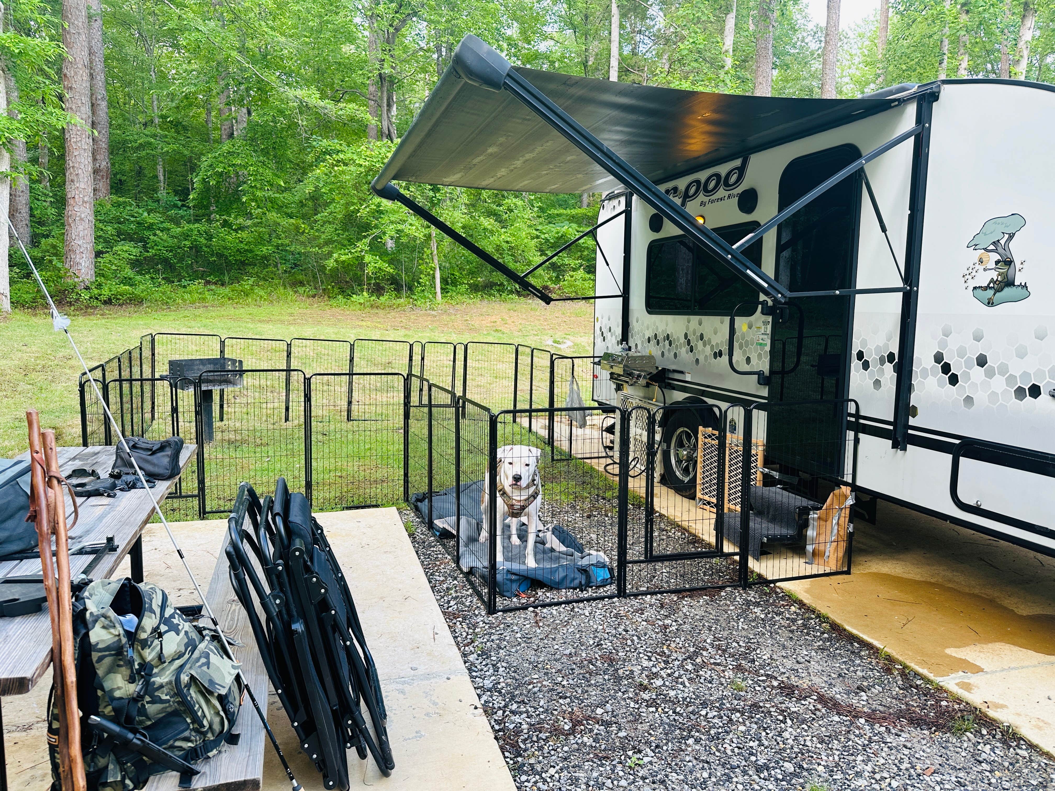 Bill  T.'s photo of camping with pets at Tishomingo State Park Campground near Guntown, MS