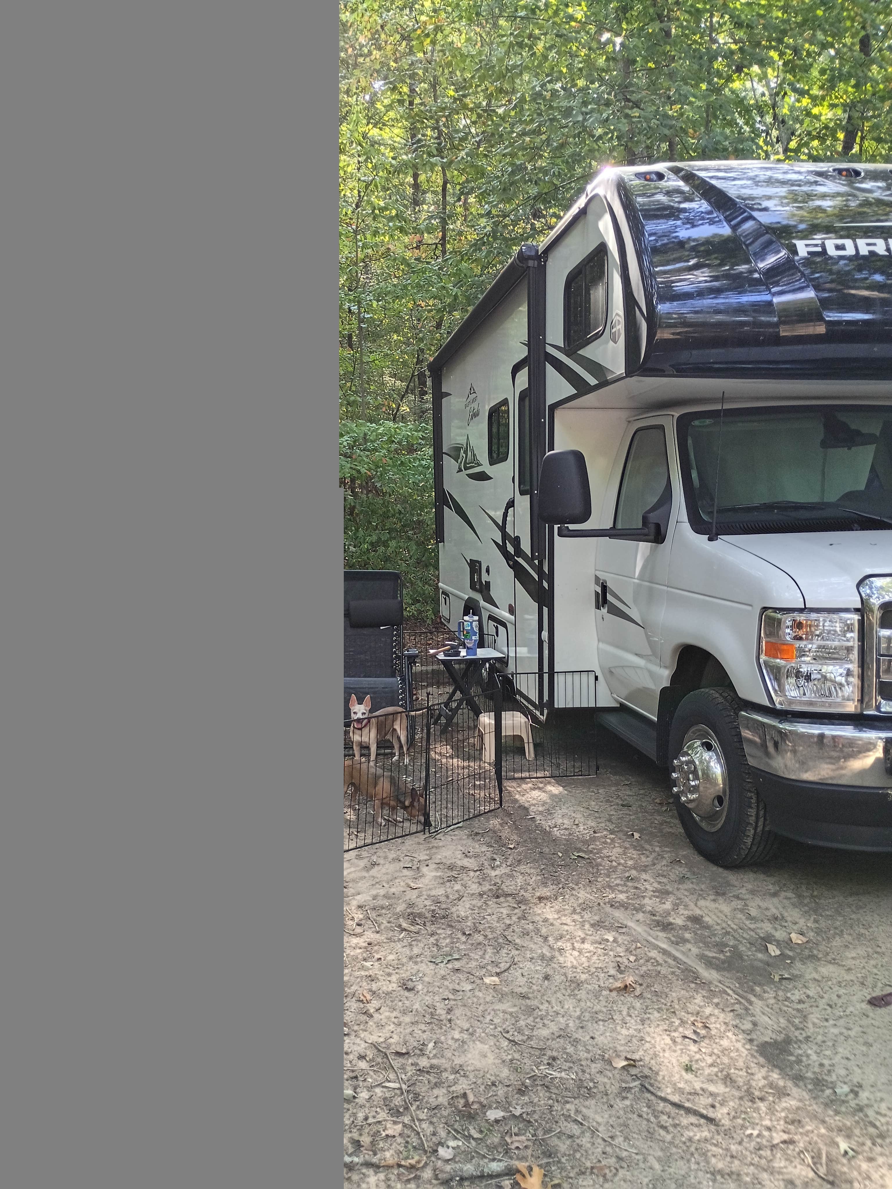 Kim K.'s photo of camping with pets at Tishomingo State Park Campground near Bear Creek, AL