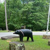 Review photo of Tishomingo State Park Campground by Bill T., January 7, 2026