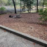 Review photo of Tishomingo State Park Campground by Kevin C., November 6, 2024