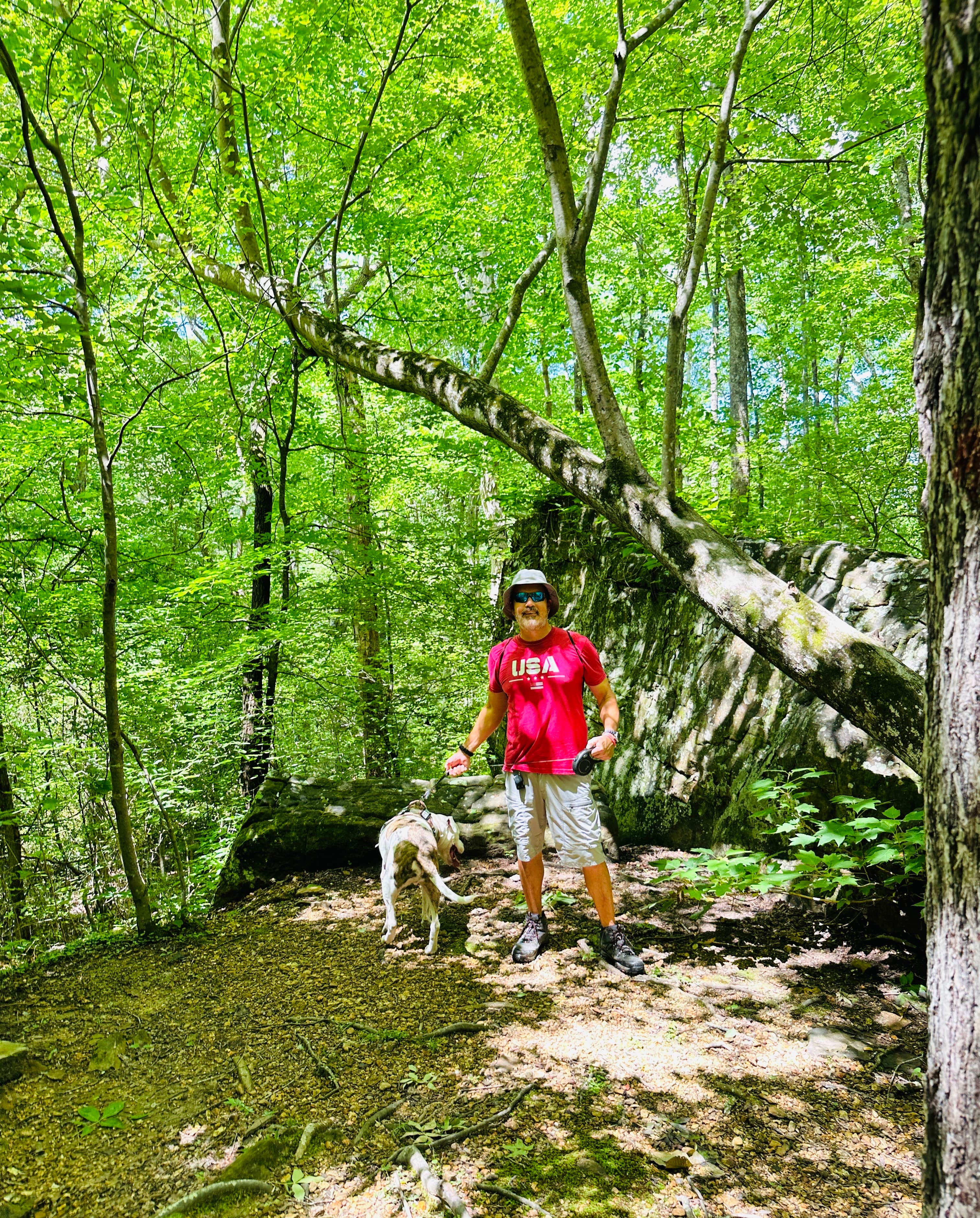 Bill  T.'s photo of camping with pets at Tishomingo State Park Campground near Hackleburg, AL