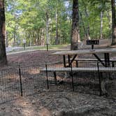 Review photo of Tishomingo State Park Campground by Kim K., September 3, 2026