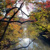 Review photo of Tishomingo State Park Campground by Amanda F., February 8, 2025