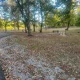 Review photo of Tombigbee State Park Campground by Robert H., October 17, 2025