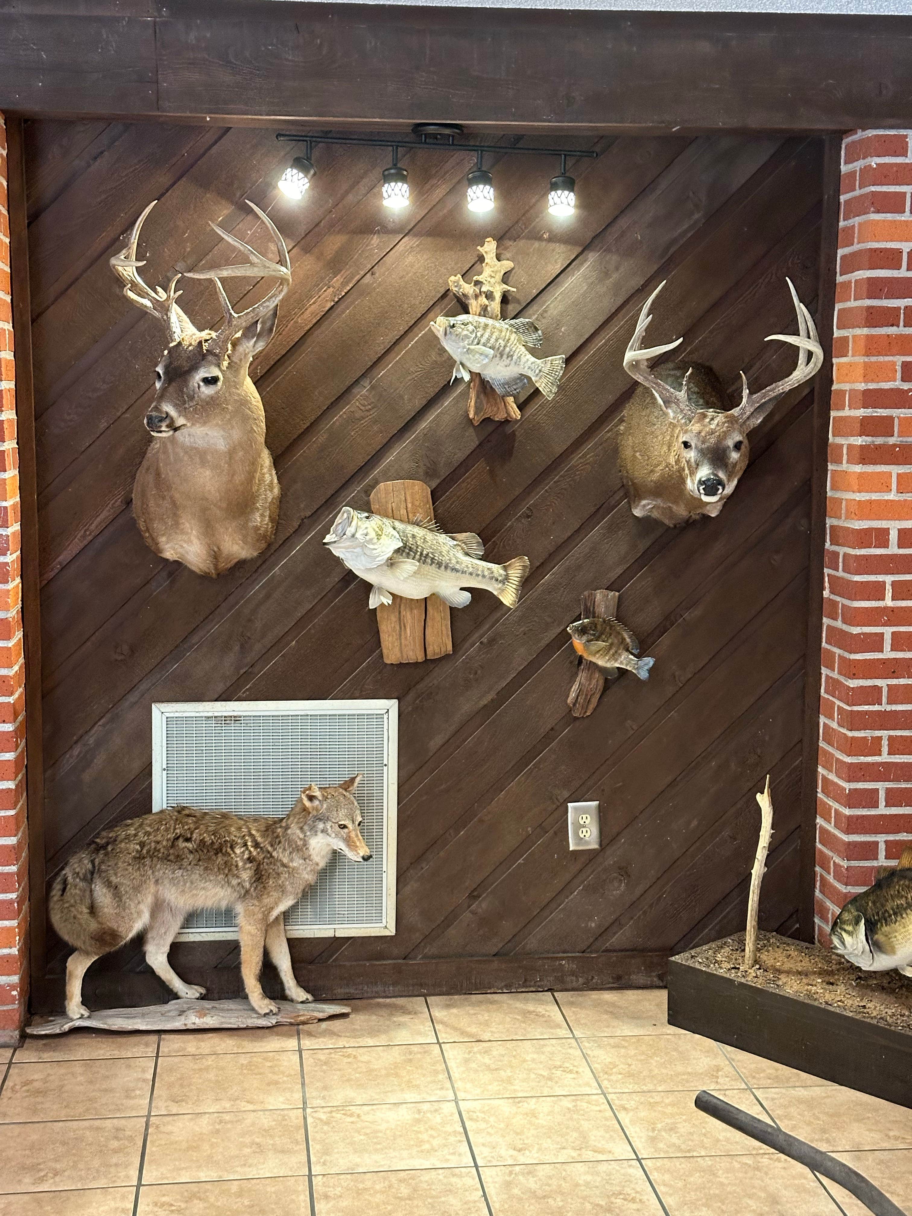 Sable A.'s photo of camping with pets at Tombigbee State Park Campground near Tupelo, MS