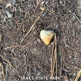 Review photo of Trace State Park Campground by Amanda F., October 3, 2025