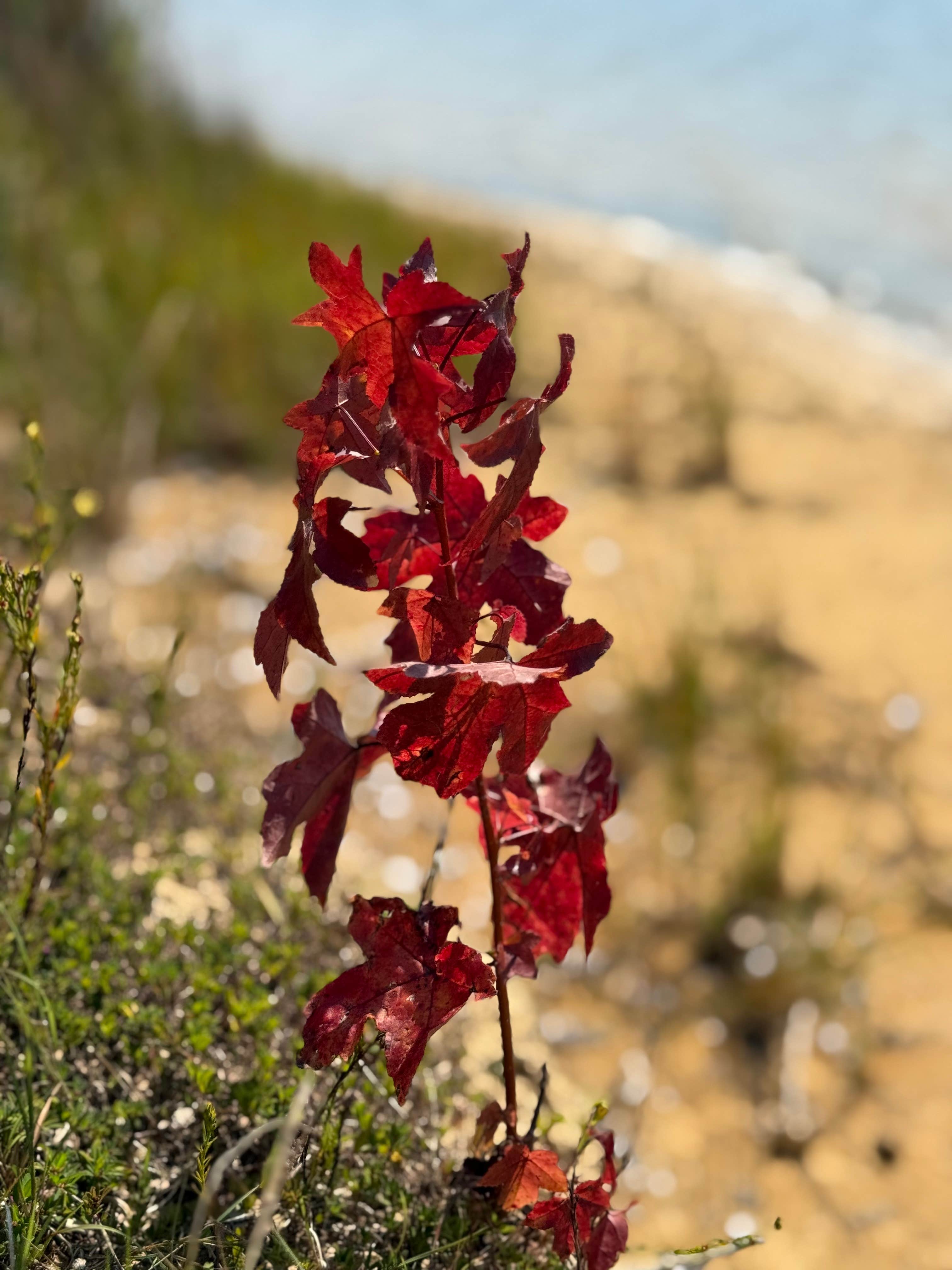 Camper-submitted photo at Trace State Park Campground near Fulton, MS