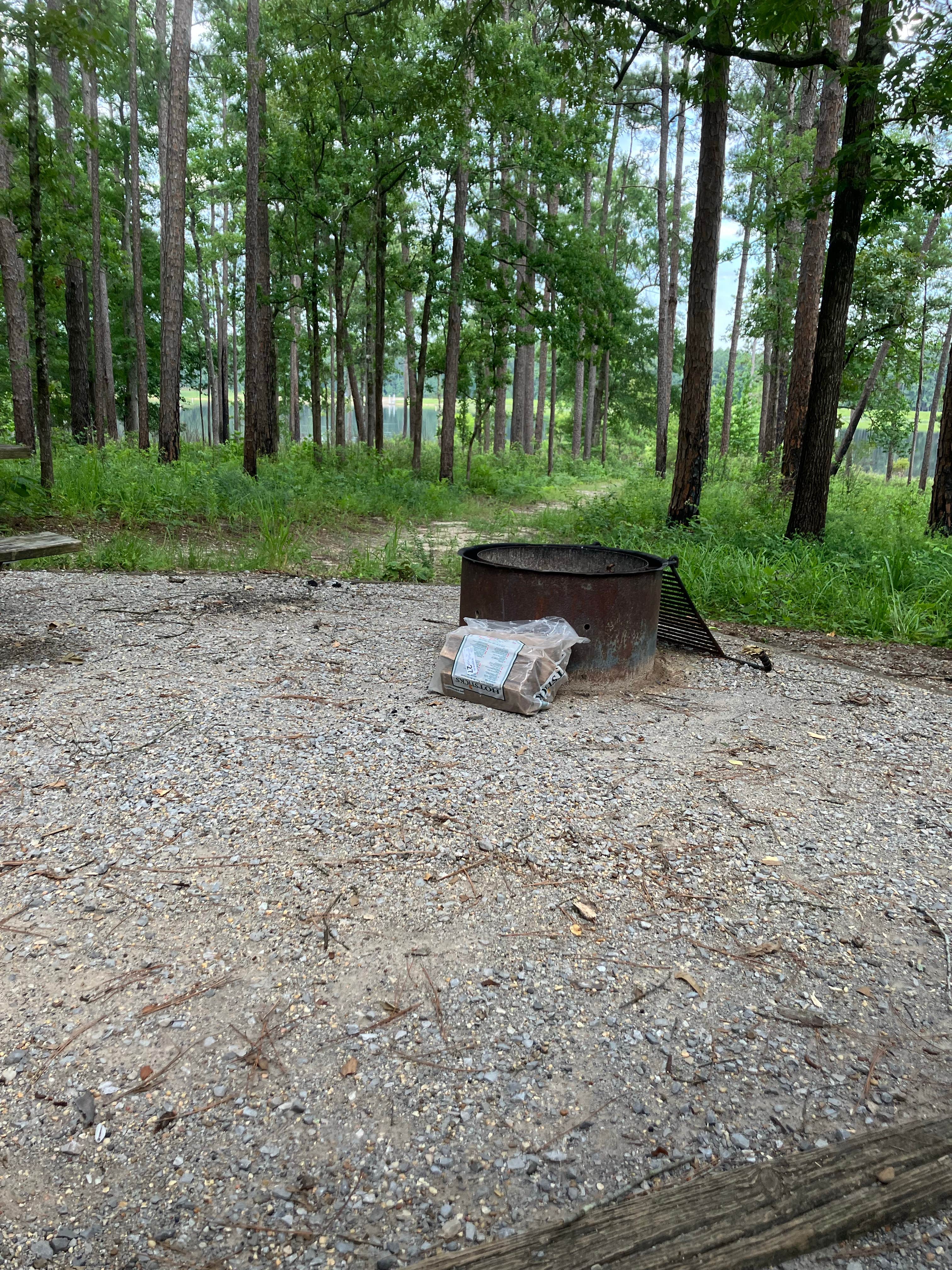 Camper-submitted photo at Turkey Fork Rec Area near Beaumont, MS