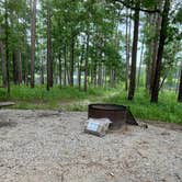 Review photo of Turkey Fork Rec Area by Mister.B , June 12, 2024