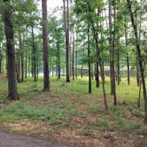 Review photo of Turkey Fork Rec Area by Walter E., May 12, 2026