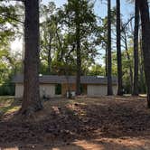 Review photo of Wall Doxey State Park Campground by Amanda F., June 29, 2026