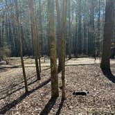 Review photo of Wall Doxey State Park Campground by Christine S., March 21, 2025