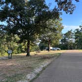 Review photo of Wallace Creek by Susan R., August 17, 2026