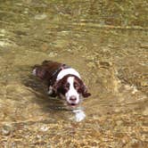 Review photo of Alley Spring Campground — Ozark National Scenic Riverway by Joel R., September 27, 2024