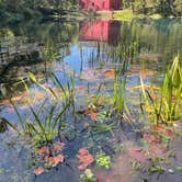Review photo of Alley Spring Campground — Ozark National Scenic Riverway by Joel R., June 22, 2026
