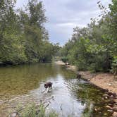 Review photo of Alley Spring Campground — Ozark National Scenic Riverway by Joel R., June 22, 2026