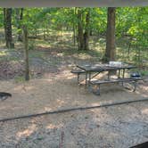Review photo of Bennett Spring State Park Campground by Sara K., August 9, 2026