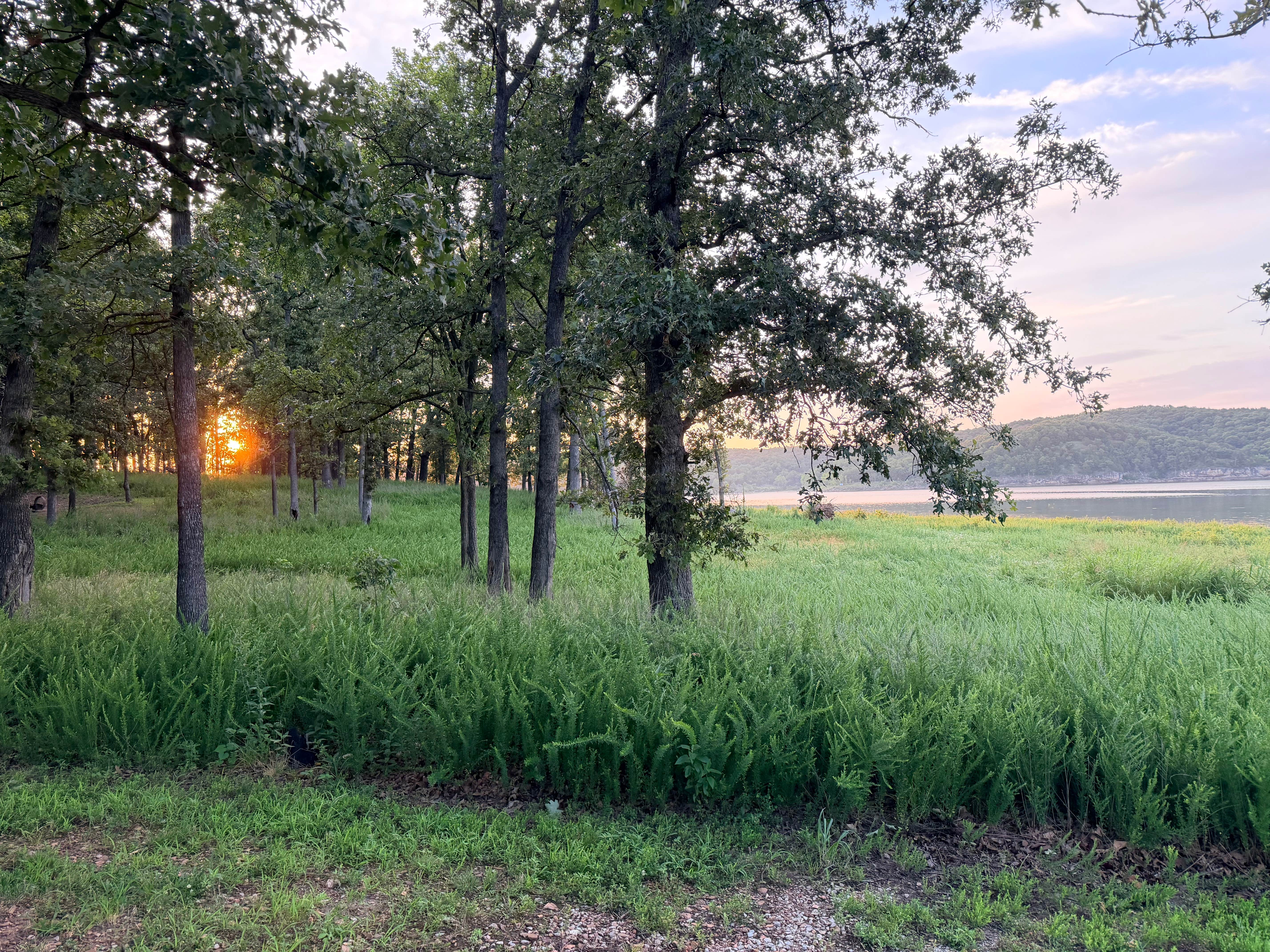 Camper-submitted photo at Berry Bend near Warsaw, MO