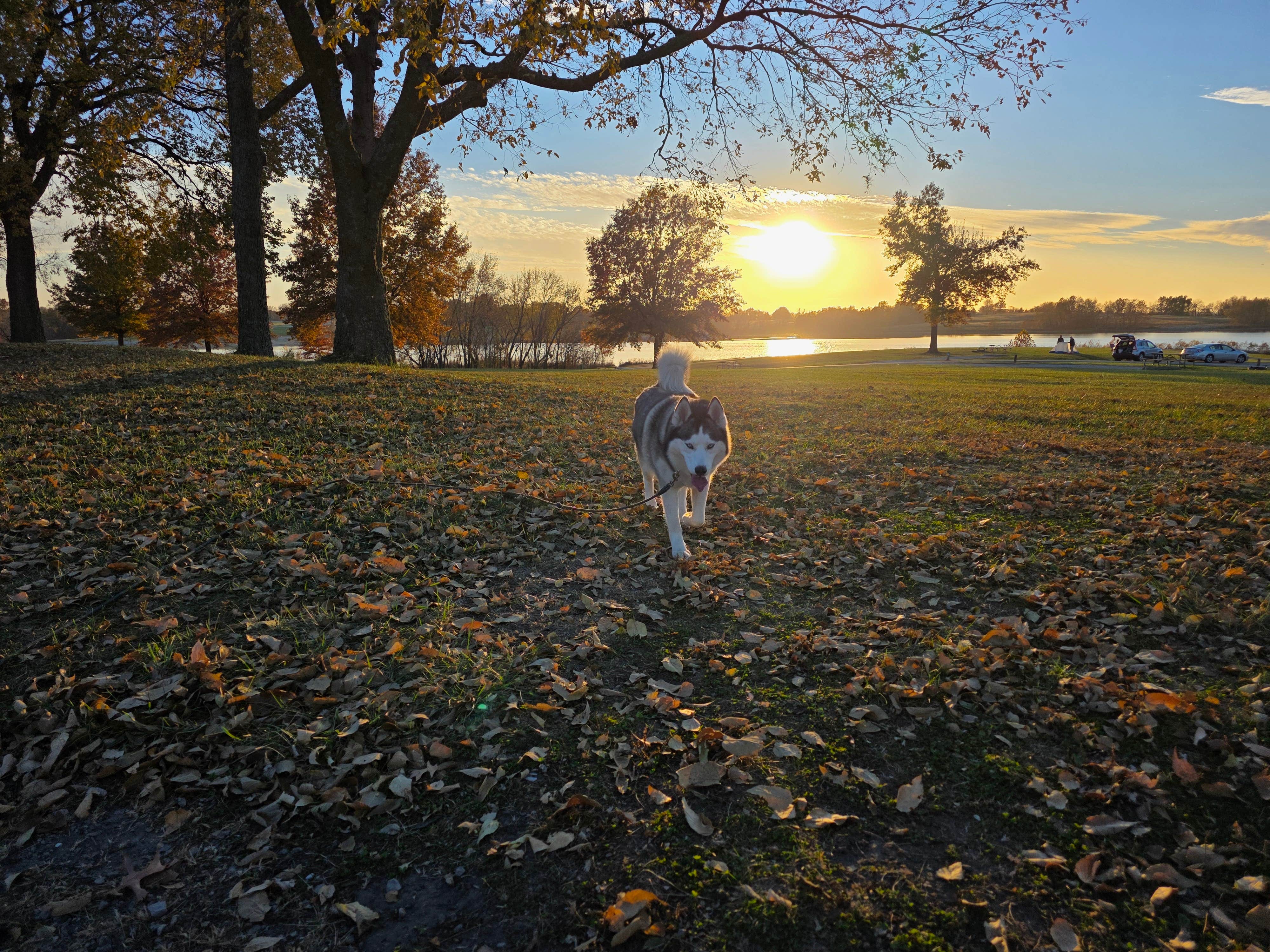 Heather S.'s photo of camping with pets at Crow's Creek Campground near Smithville, MO
