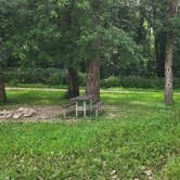 Review photo of Dupont Reservation Conservation Area by Rosemary S., August 10, 2025