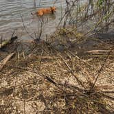 Review photo of Dupont Reservation Conservation Area by Rosemary S., August 10, 2025