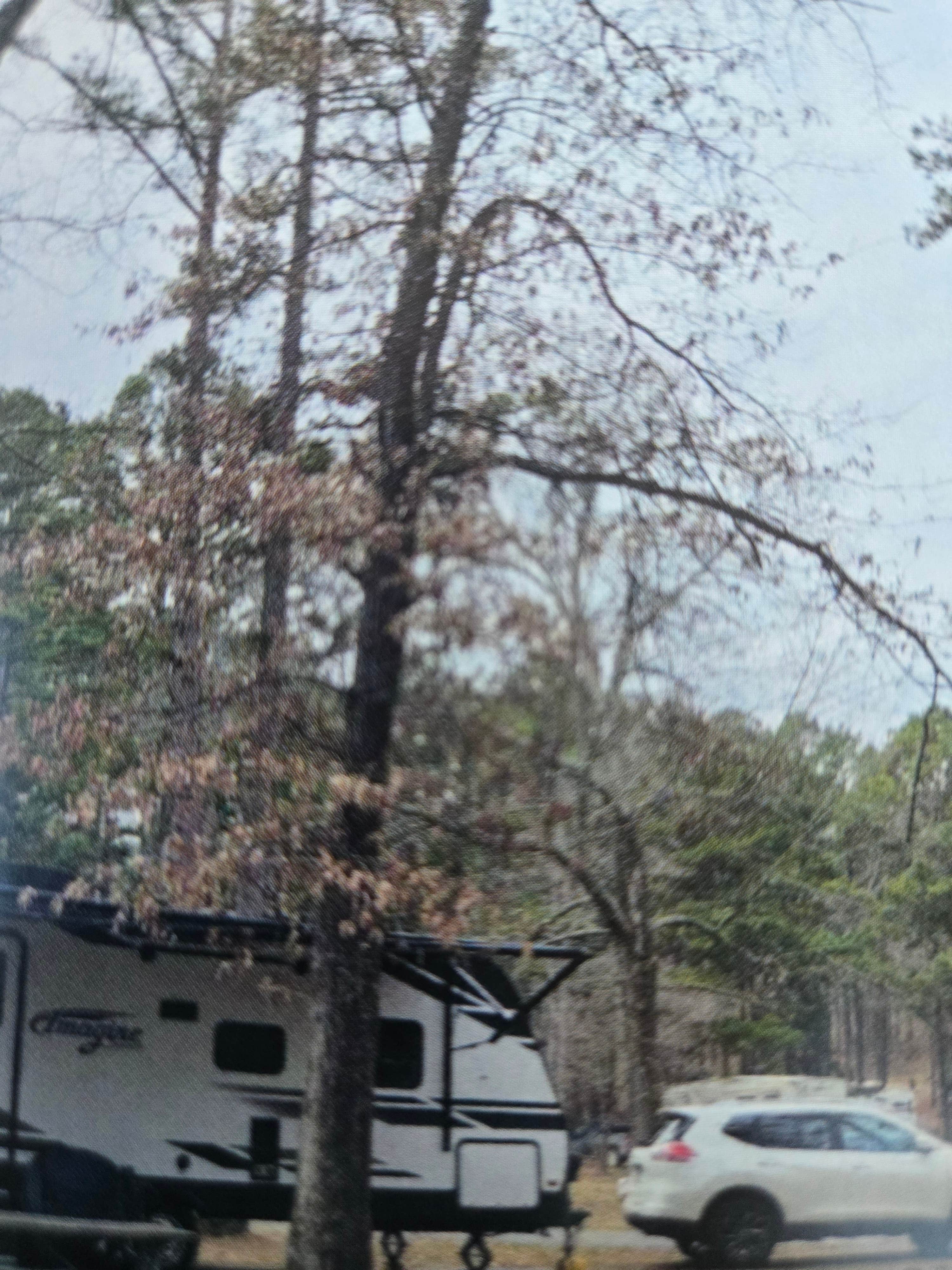 Shawn S.'s photo of rv camping at Finger Lakes State Park Campground near Macon, MO